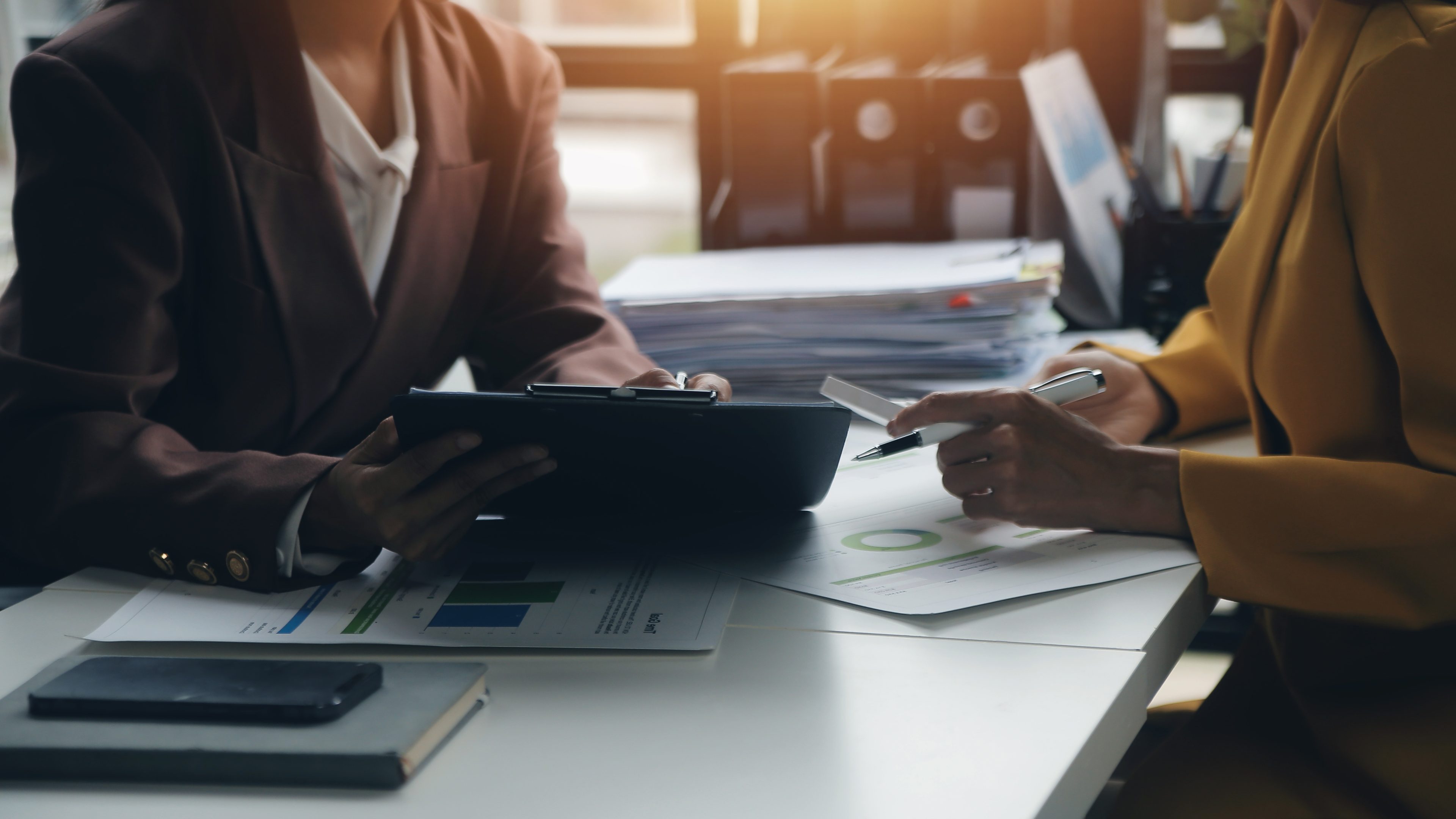 developmental psychologist clinical consultation for mental health professionals